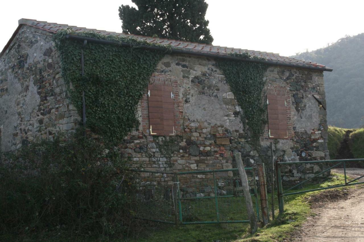 Farmhouse Tuscany Montecastelli Pisano 外观 照片