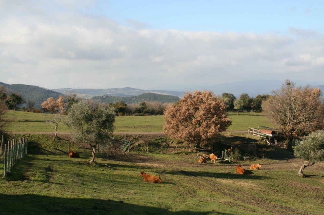 Farmhouse Tuscany Montecastelli Pisano 外观 照片
