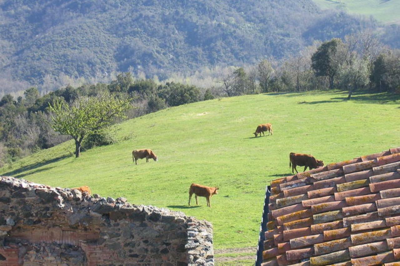 Farmhouse Tuscany Montecastelli Pisano 外观 照片